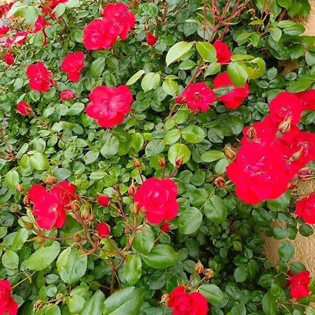 La Maison Des Roses Chadrac Exterior foto